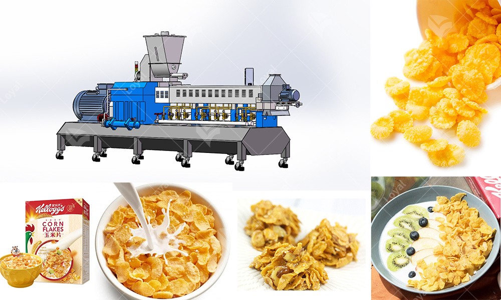 A stock image illustrating corn flakes maker concepts
