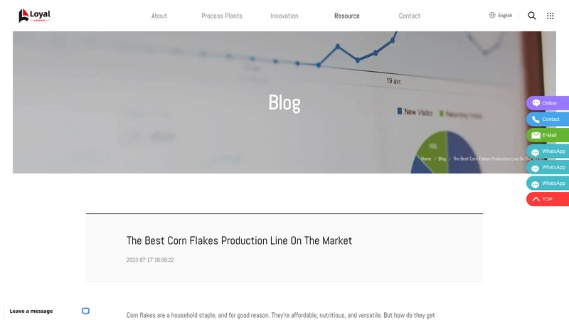 The  Corn Flakes Production Line On The Market machinery