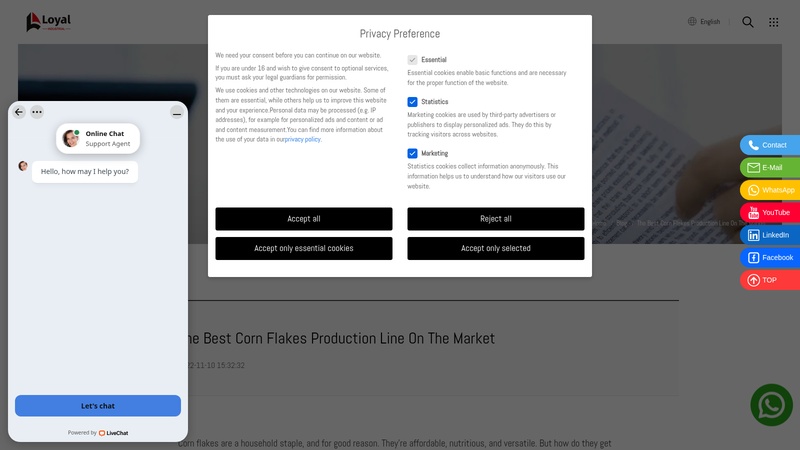 The  Corn Flakes Production Line On The Market machinery